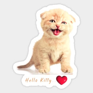 Hello Kitty Funny Cat Sticker